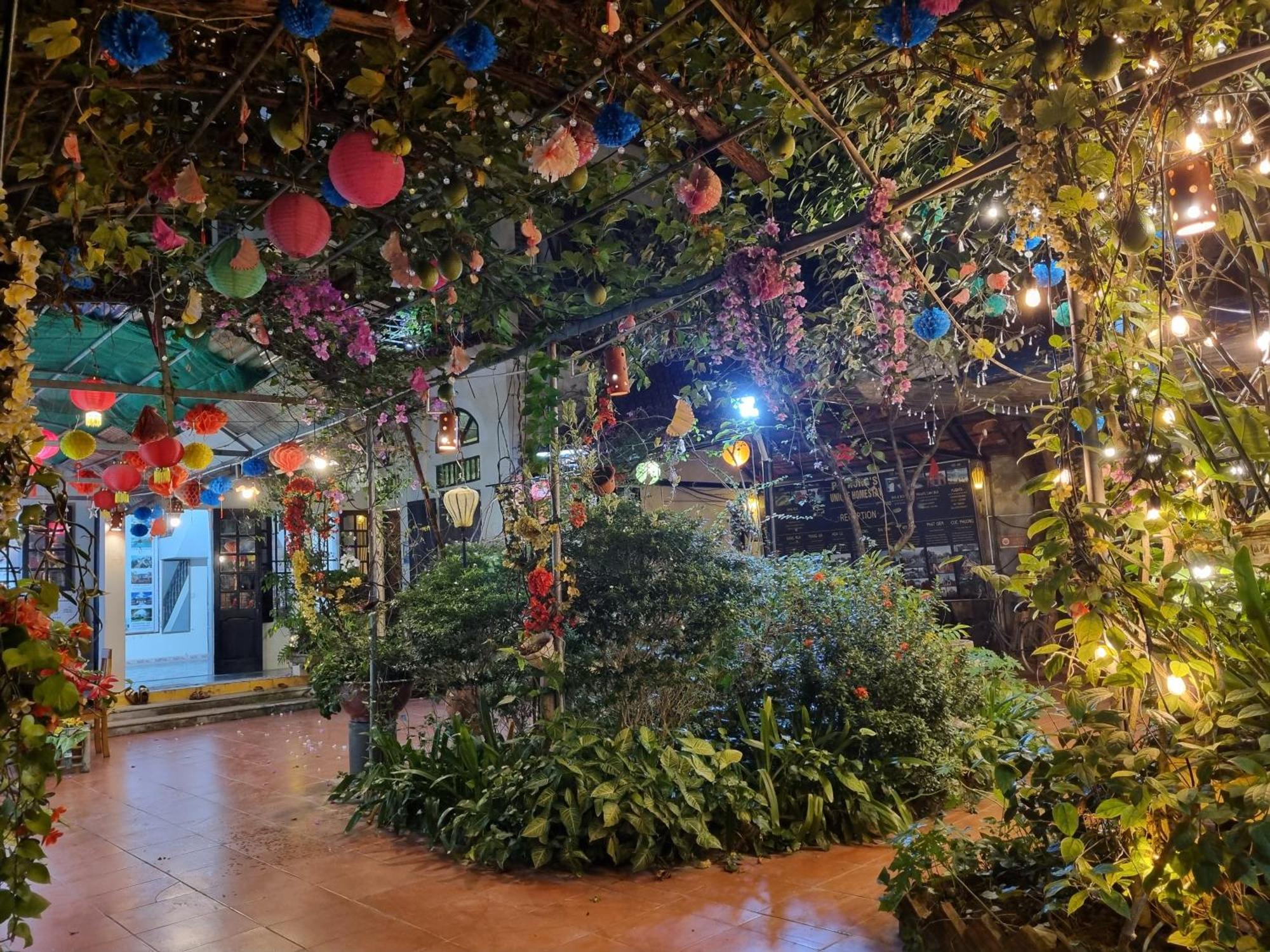 Phi Hung'S Unique Homestay Ninh Binh Buitenkant foto