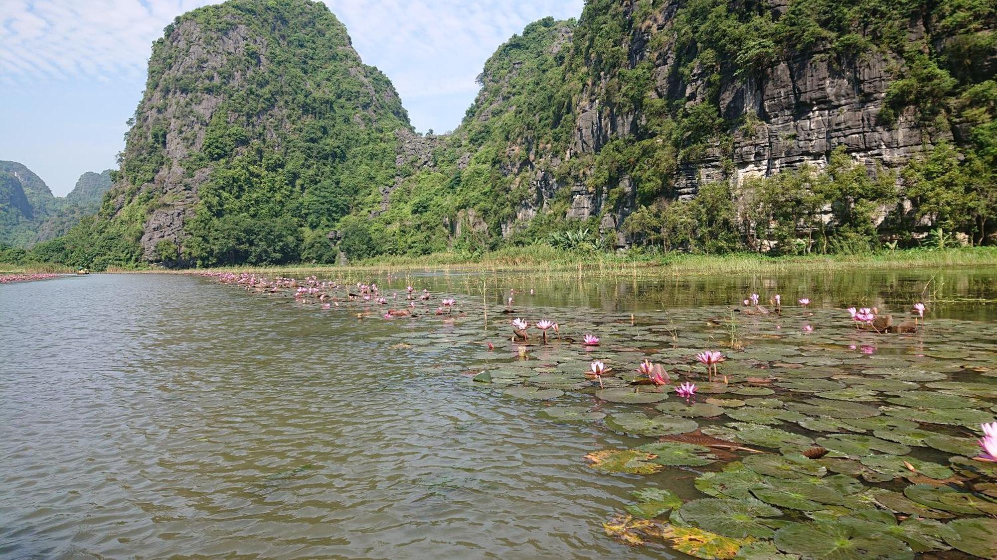 Phi Hung'S Unique Homestay Ninh Binh Buitenkant foto