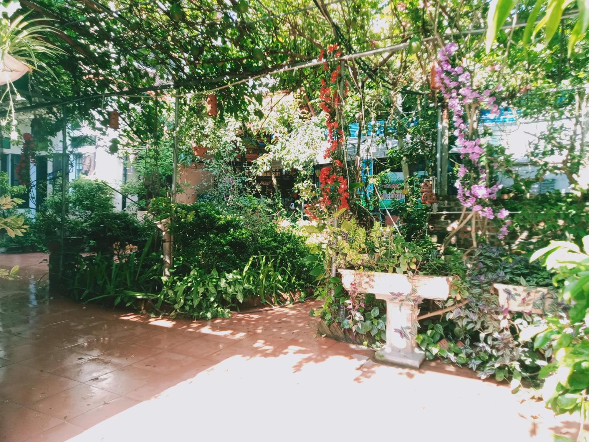 Phi Hung'S Unique Homestay Ninh Binh Kamer foto
