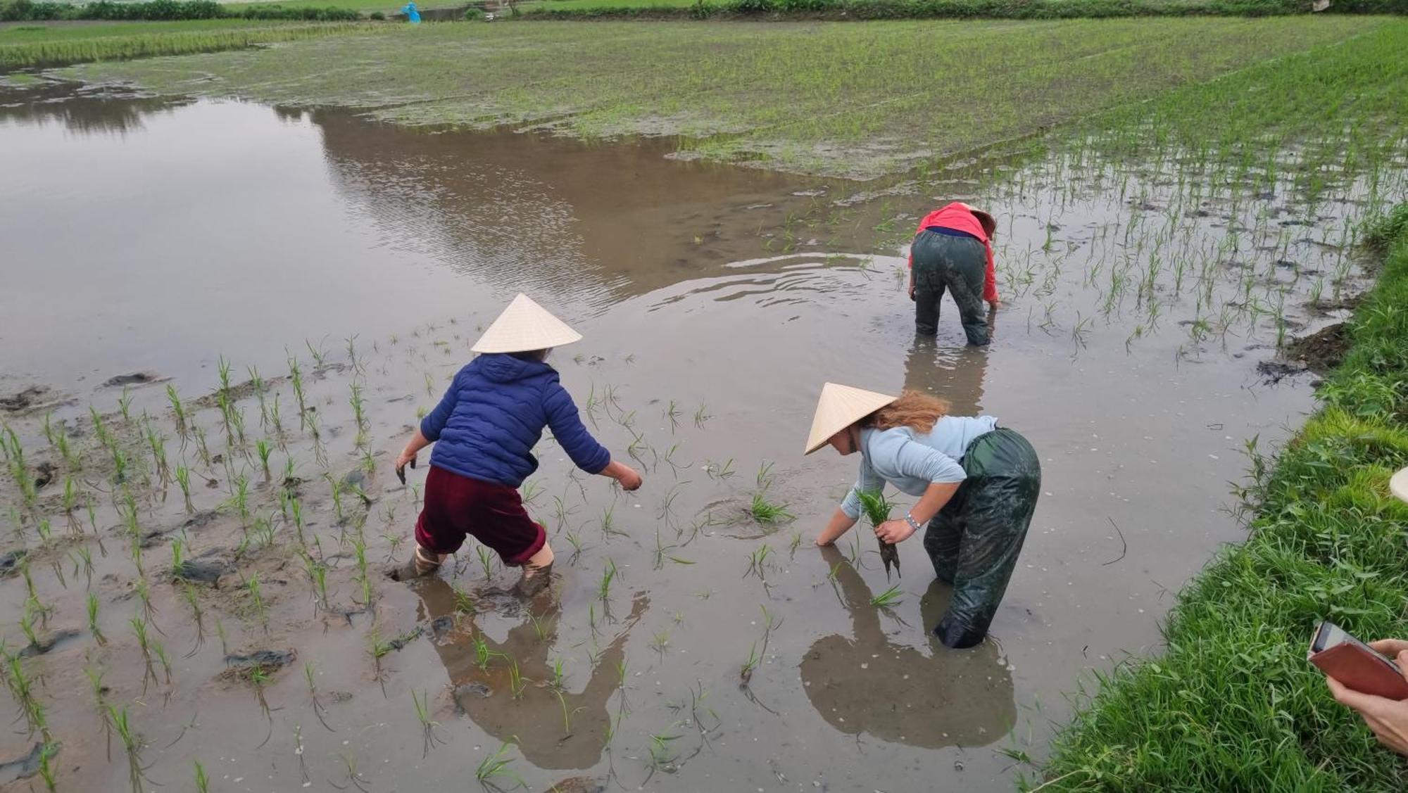 Phi Hung'S Unique Homestay Ninh Binh Buitenkant foto