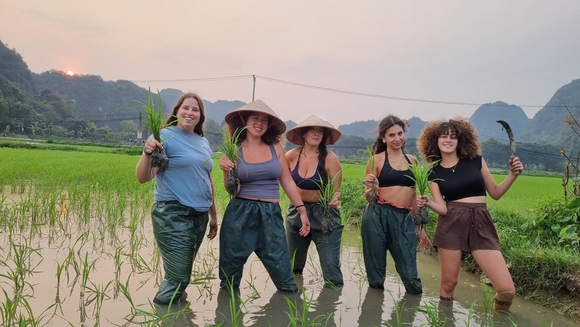 Phi Hung'S Unique Homestay Ninh Binh Buitenkant foto